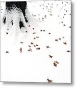 Dots Metal Print