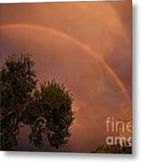 Double Red Rainbow With Tree In Jerome Metal Print