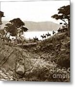 Douglas School For Girls At Lone Cypress Tree Pebble Beach 1932 Metal Print