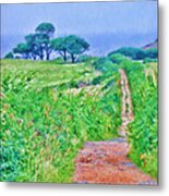 Down To The Sea Herm Island Metal Print