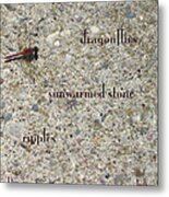 Dragonflies Haiga Metal Print