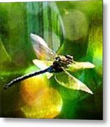 Dragonfly In Sunlight - Yellow Sunlight Metal Print