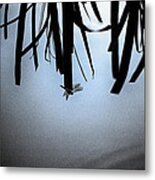 Dragonfly Silhouette Metal Print