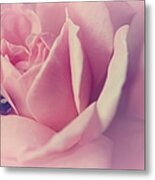 Dream Rose Metal Print