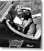 Driving Lessons Metal Print