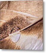 Droplet On A Quill Metal Print