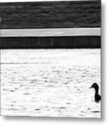 Duck And Bench Metal Print