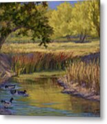 Duck Pond Metal Print