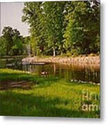 Duck Pond With Water Fountain Metal Print