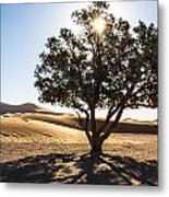 Dune Guardian Metal Print