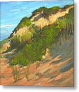 Dunes Near Cape Cod National Seashore Metal Print