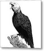 Eagle 1 Metal Print