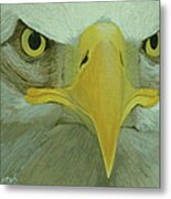 Eagle Eyes Metal Print