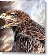 Eagle Cry Metal Print