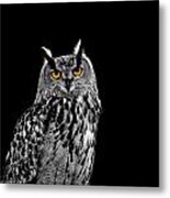 Eagle Owl Metal Print