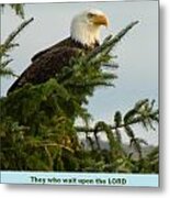 Eagle With Verse 1 Metal Print