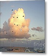 Early Morning Flight Metal Print