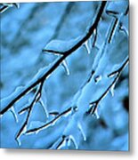 Early Morning Frost Metal Print