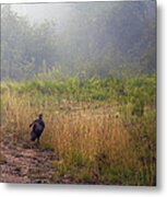 Early Morning Strole Metal Print