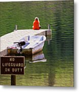 Early One Morning On Patterson Lake Metal Print