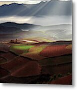 Early Spring On Red Land Metal Print