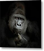 Ego Cogito, Ergo Sum Metal Print