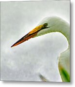 Egret Close-up Metal Print