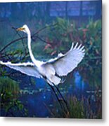 Egret In The Mist Metal Print