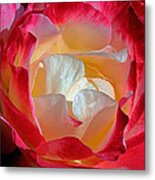 Elegance Metal Print