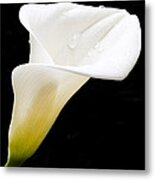 Elegance Metal Print