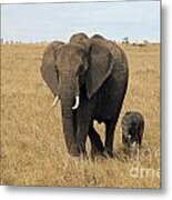 Elephant Mom And Child 3 Metal Print