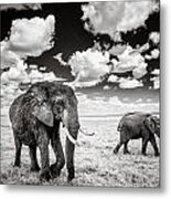 Elephants And Clouds Metal Print
