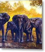 Elephants Metal Print