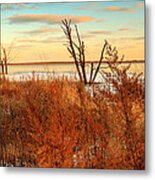 Emiquon Metal Print