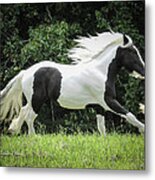 Emma Just Like Her Sire Metal Print