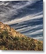 En Gedi Israel Metal Print