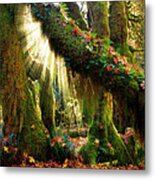 Enchanted Forest Metal Print