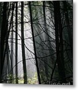 Encounters Of The Vermont Kind Metal Print