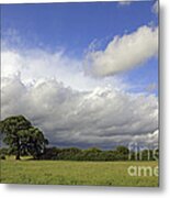 English Oak Under Stormy Skies Metal Print