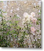 English Roses Iv Metal Print