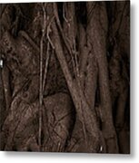 Entwined Metal Print