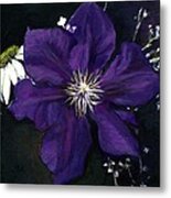 Etoile Violette - Clematis Metal Print