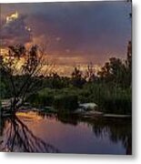 Evening Colors Metal Print