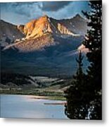 Evening Light Metal Print