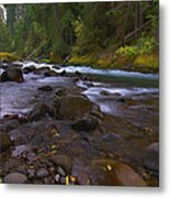 Evening On The Santiam River Metal Print