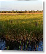 Everglades Panoramic C Metal Print