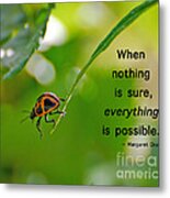 Everything Is Possible Metal Print