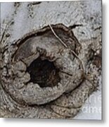 Evil Eye Metal Print