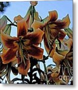 Exotic Lilies Metal Print