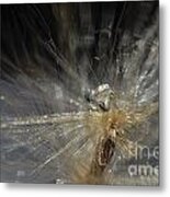 Explosion Metal Print